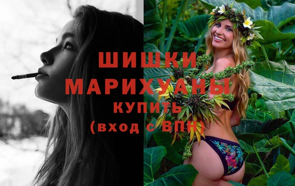 ECSTASY Инсар