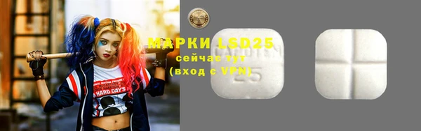 ECSTASY Инсар