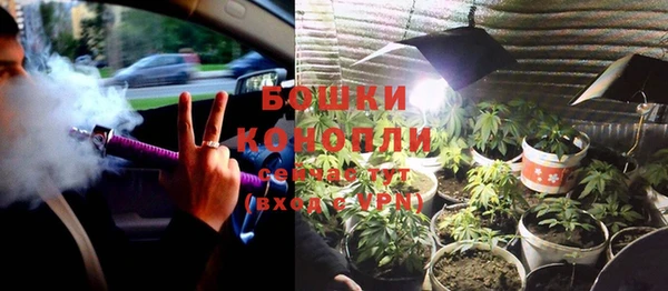 ECSTASY Инсар