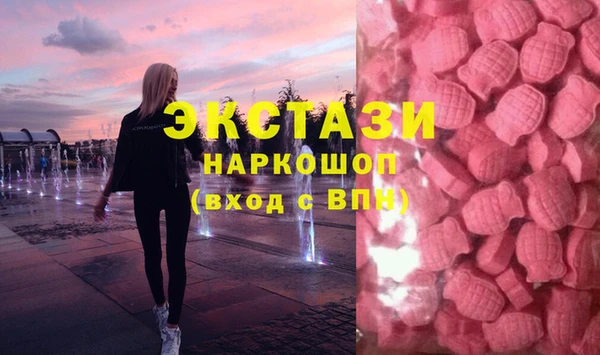 ECSTASY Инсар