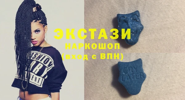 ECSTASY Инсар